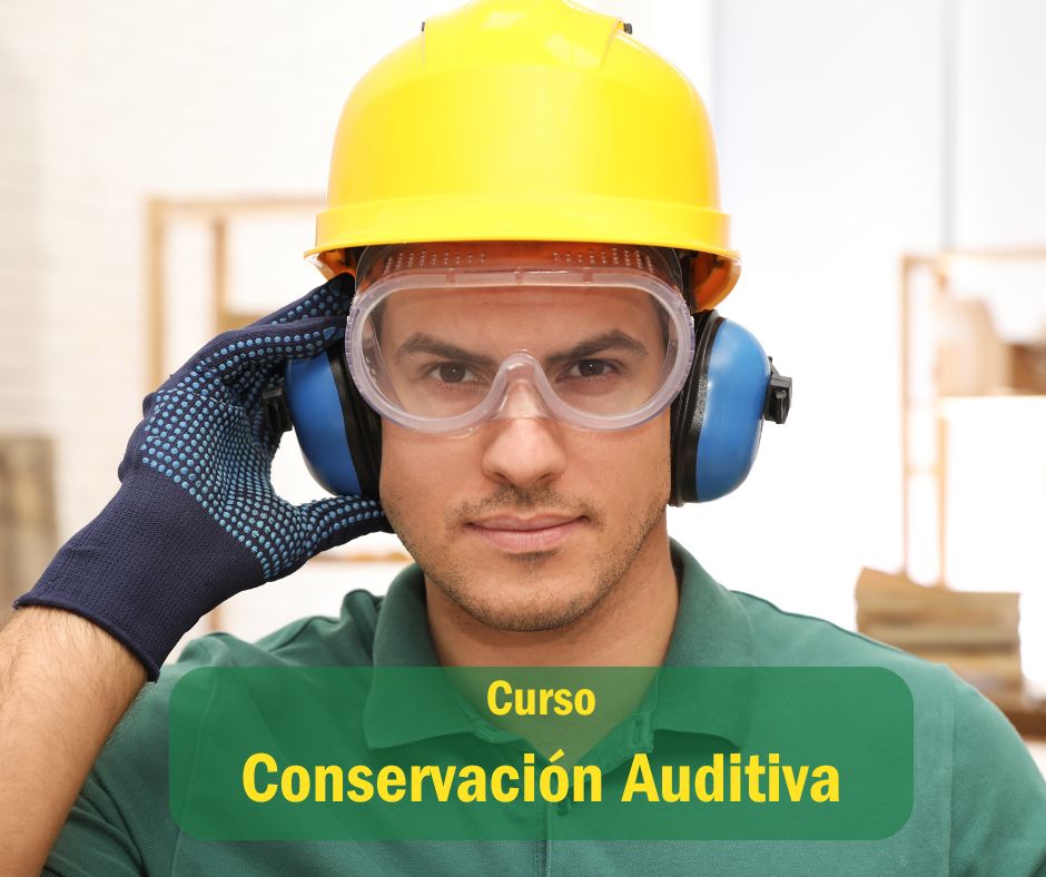 Protección Auditiva Curso en línea